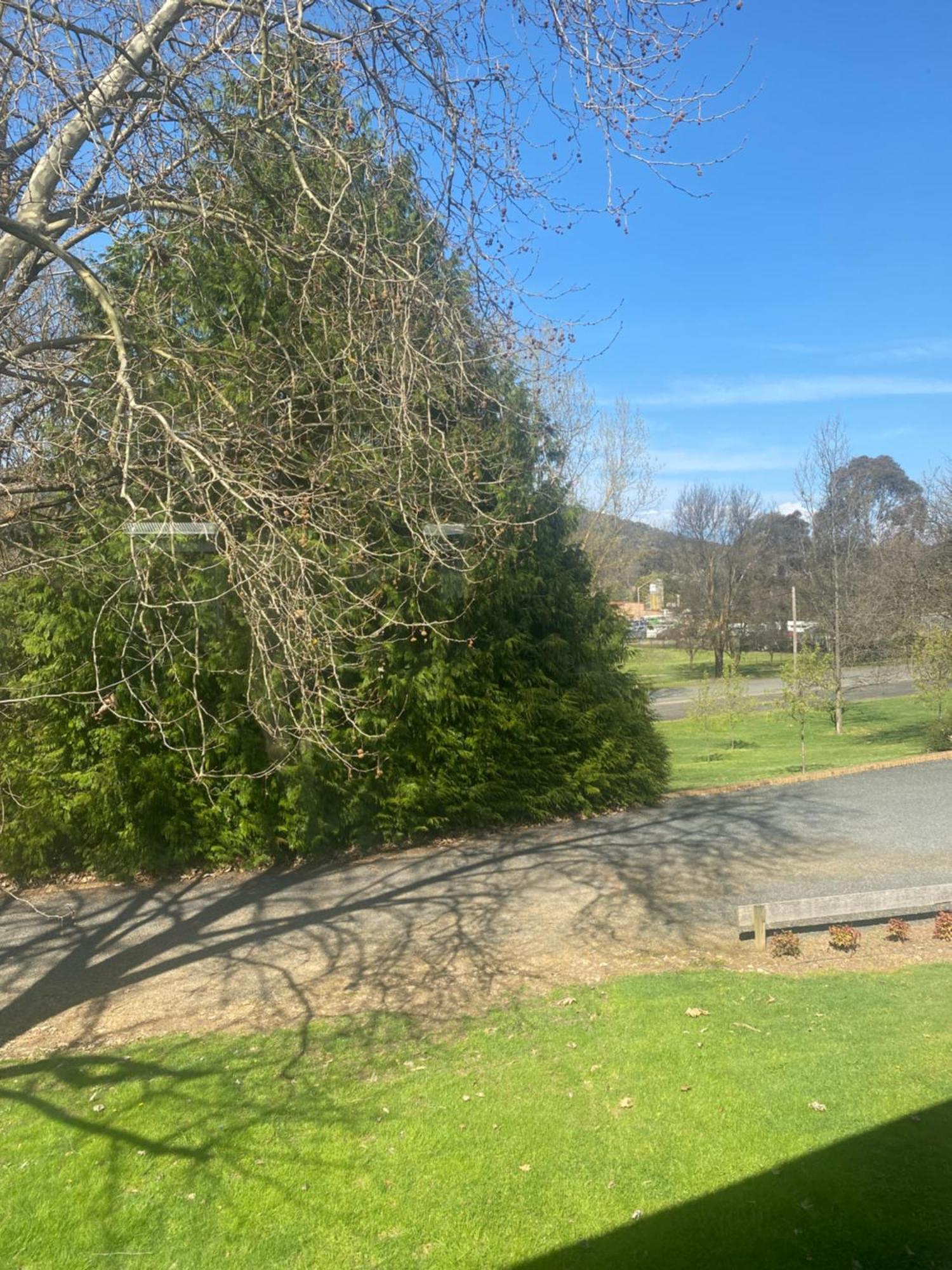 Tumbarumba Motel & Elms Restaurant Extérieur photo